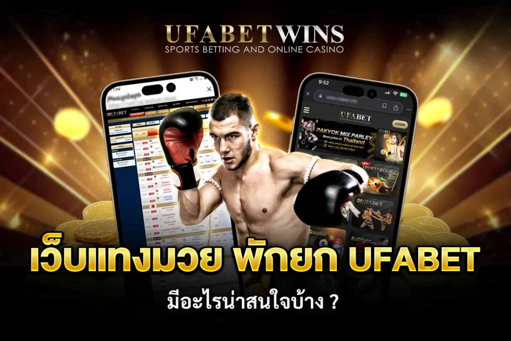 แทงมวยยังไง
